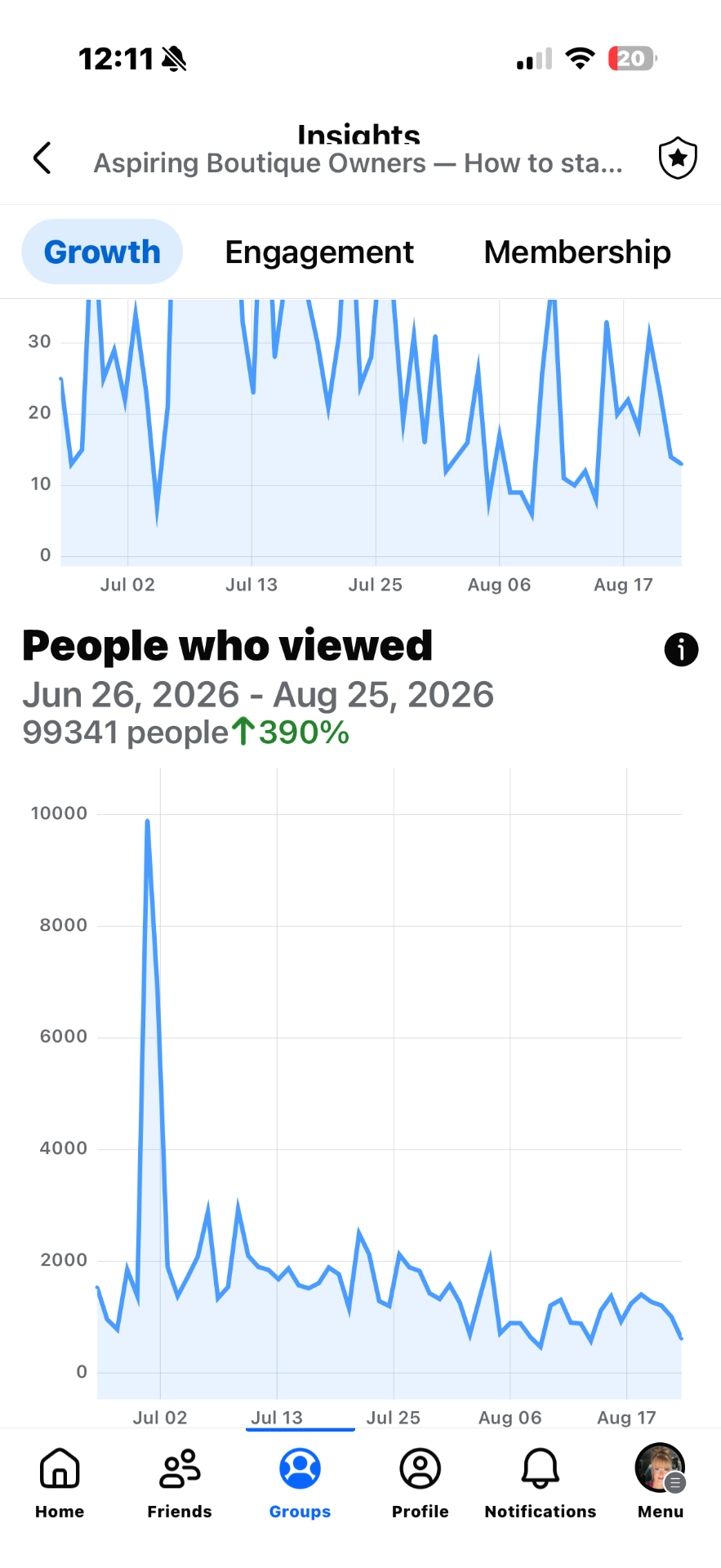 Facebook group insights: Aspiring Boutiques · views